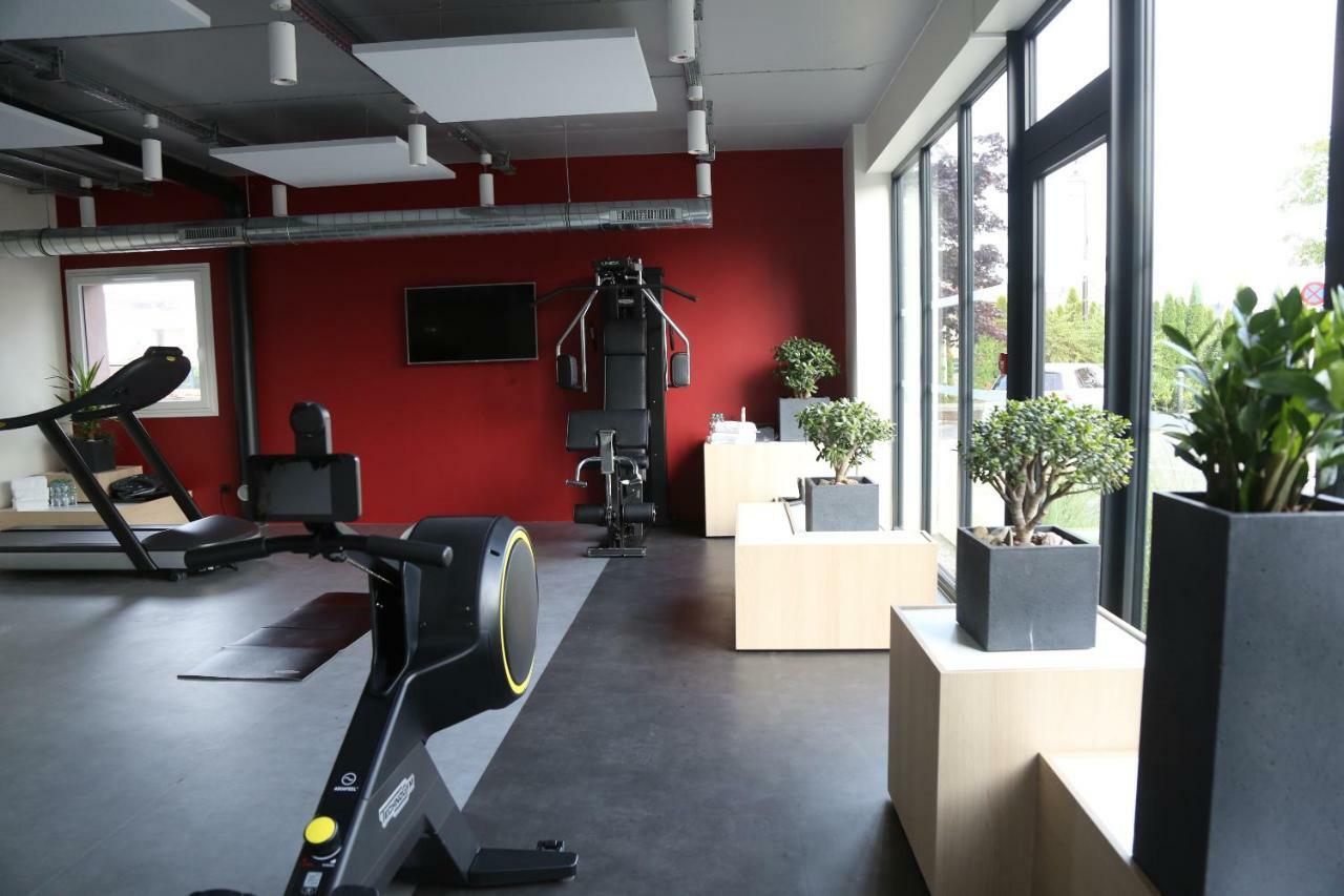 Ibis Styles Bale-Mulhouse Aeroport Hotel Блотзайм Екстериор снимка